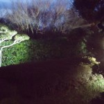 2016.2.6近圧青年部新年会_2492