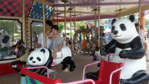 13920582_809070405896528_5408602563664600080_n