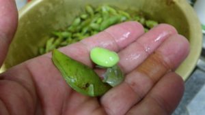 2016107%e6%9e%9d%e8%b1%86_2916