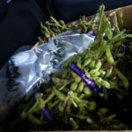 2016107%e6%9e%9d%e8%b1%86_3347